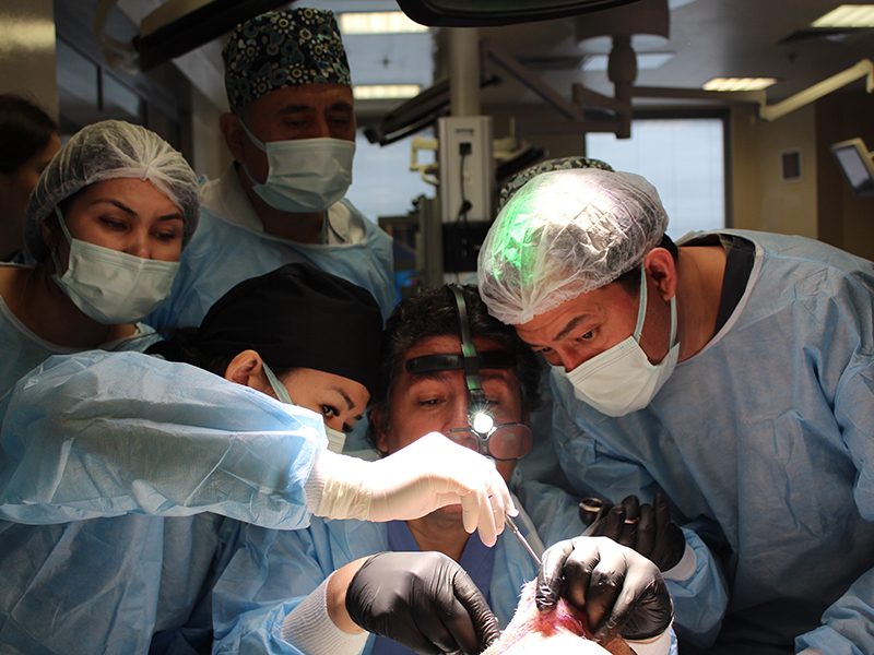Endoscopy and temporal region surgical training